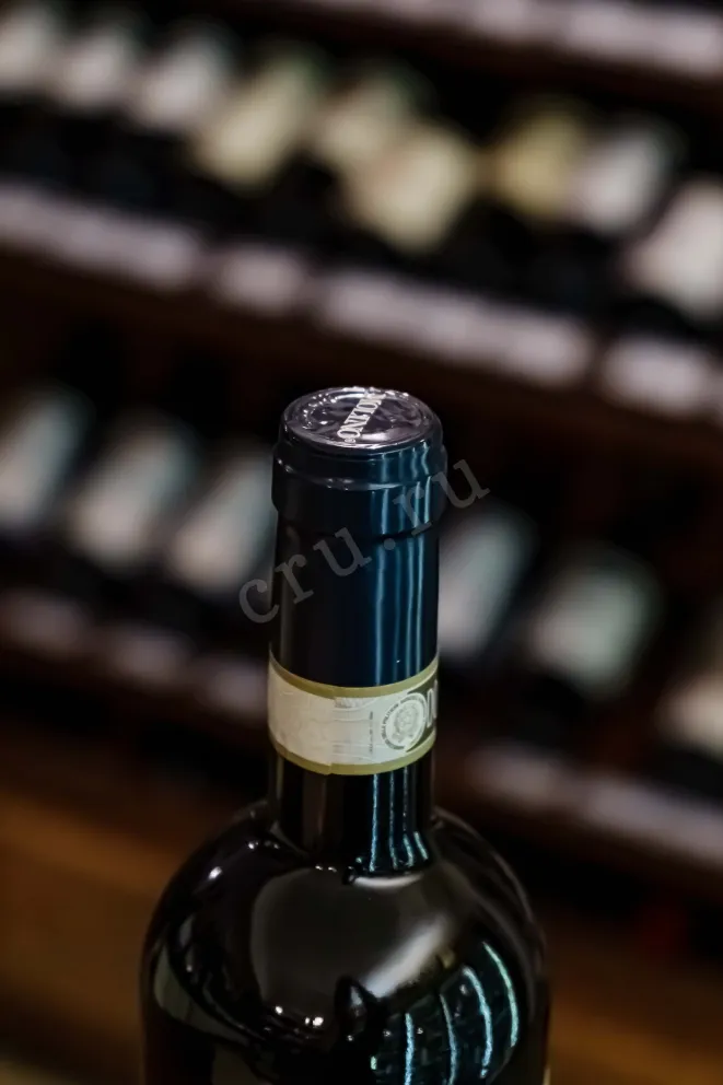Пробка Barbera d’Asti Leradici 2020 0.75 л
