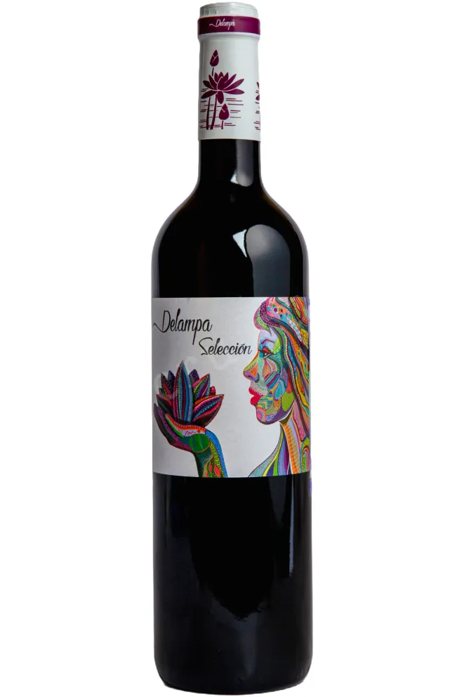 Вино Delampa Seleccion 2023 0.75 л