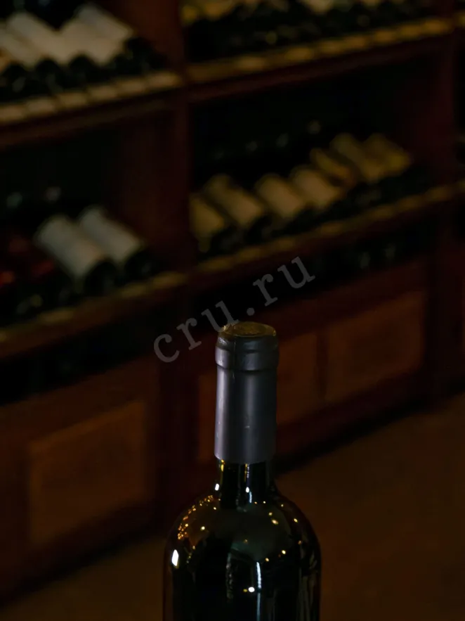 Пробка La Madeleine Sfide Rosso Umbria 2017 0.75 л