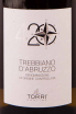Этикетка 4 20 Trebbiano d'Abruzzo DOC 2021 0.75 л