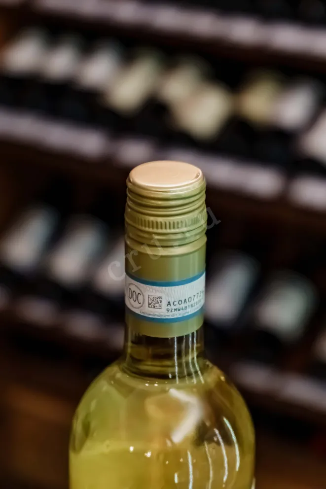 Пробка Tedeschi Pinot Grigio Delle Venezie DOC 2023 0.75 л