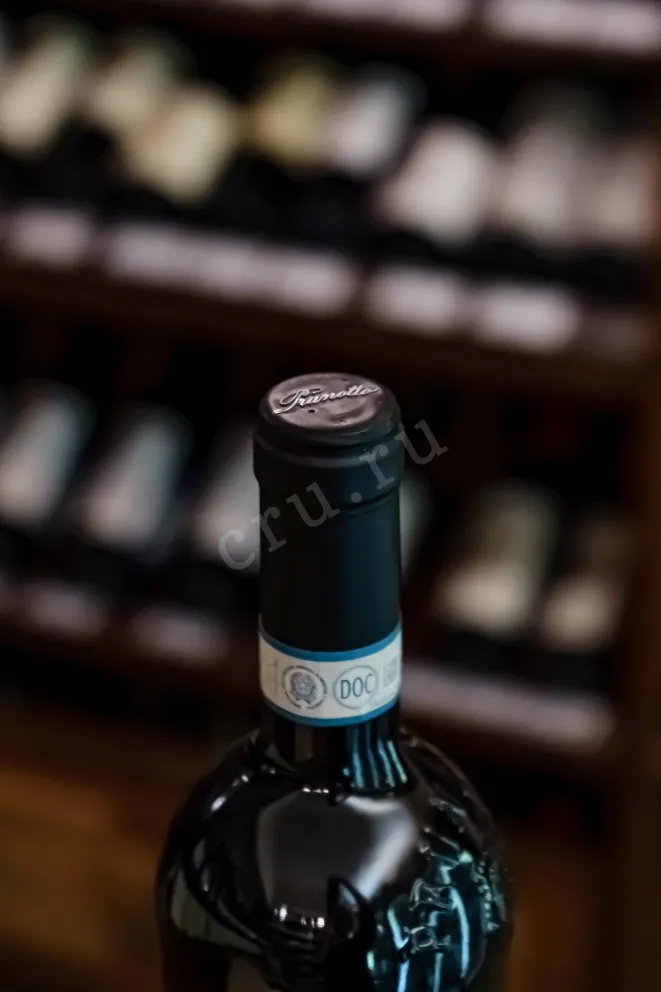 Пробка Prunotto Barbera d'Alba DOC Pian Romualdo 2020 0.75 л
