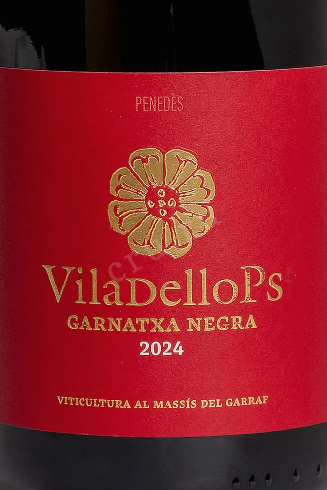 Этикетка Viladellops Garnatxa Negra 2022 0.75 л