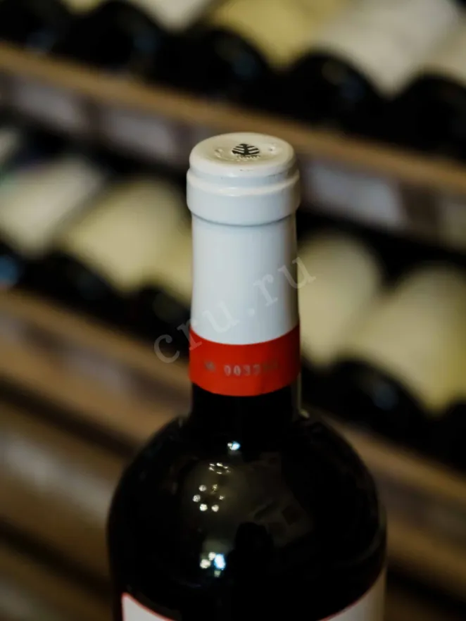 Пробка Brunello di Montalcino San Giuseppe di Viola di Campalto Stella 2015 0.75 л