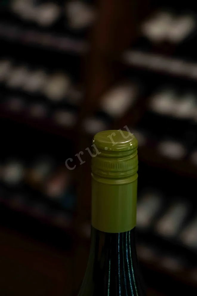 Пробка Viejo Feo Chardonnay 2023 0.75 л