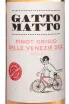 Этикетка Villa degli Olmi Gatto Matto Pinot Grigio Rosato delle Venezie 2022 0.75 л