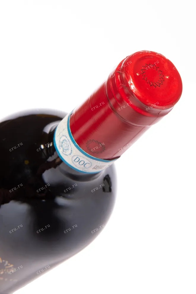 Пробка Roberto Sarotto Excelsius Piemonte Barbera DOC 2022 0.75 л