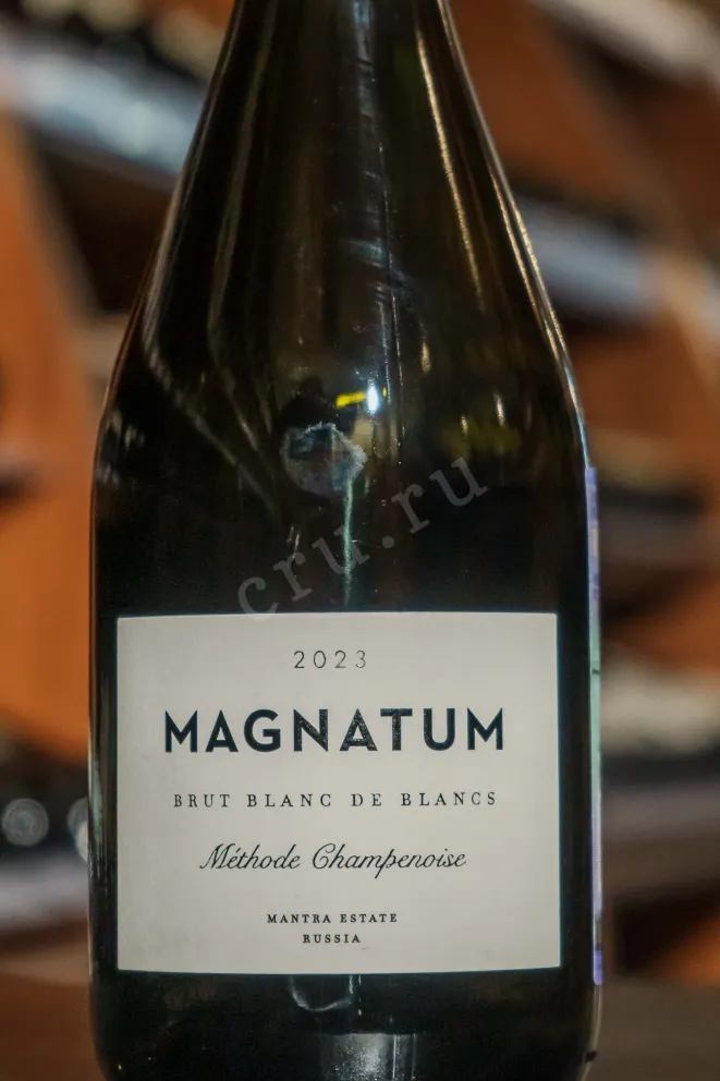 В магазине Крю Профи Magnatum Methode Champenoise Brut Blanc De Blancs 2023 0.75 л