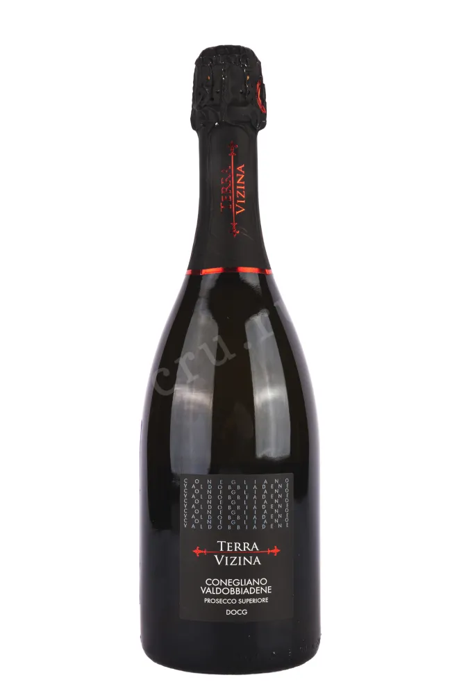 Игристое вино Prosecco Superiore Conegliano Valdobbiadene Extra Dry Terra Vizina in gift box 2021 0.75 л