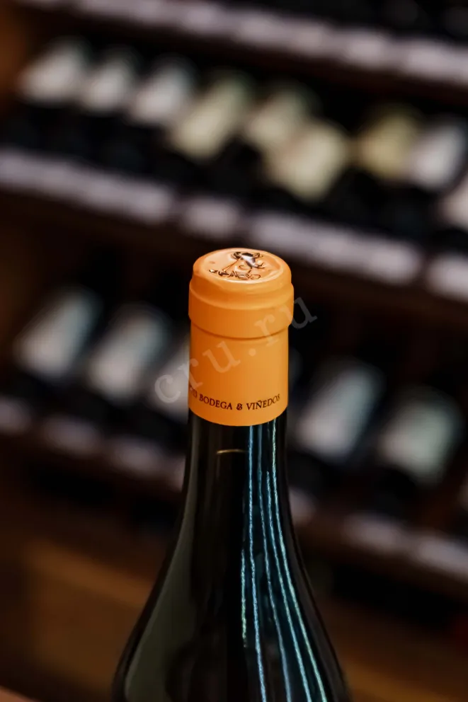 Пробка Attis Sitta Laranxa Orange Wine 2022 0.75 л