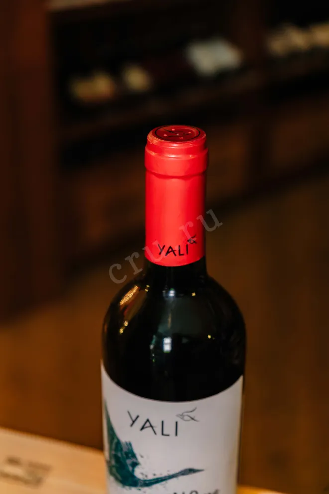 Пробка Yali Wild Swan Cabernet Sauvignon 2021 0.75 л