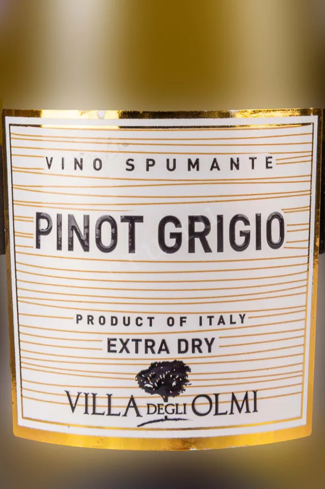 Этикетка Villa degli Olmi Pinot Grigio Spumante Extra Dry 2023 0.2 л