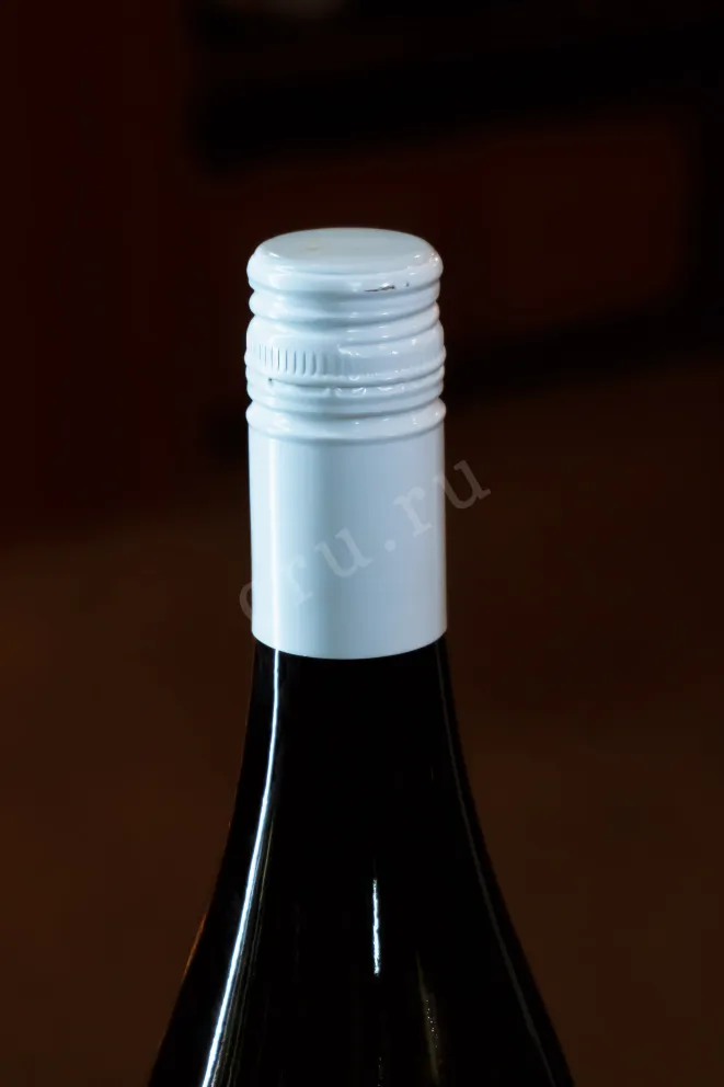 Пробка Clement & Florian Berthier L'Instant Sauvignon Blanc 2021 0.75 л