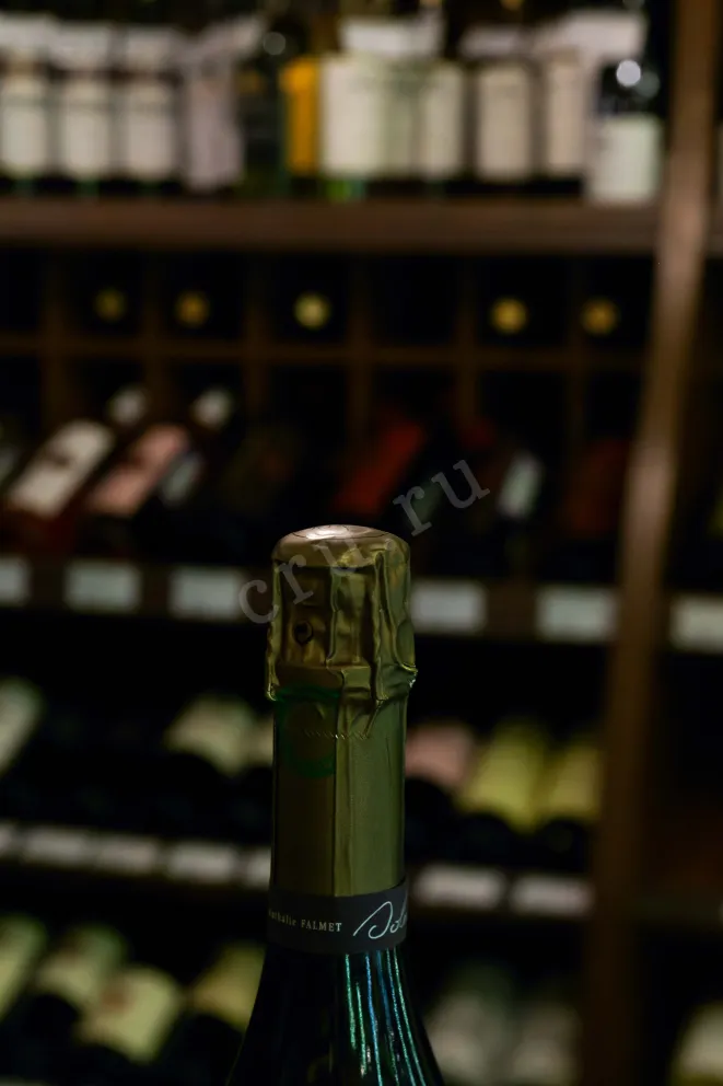 Пробка Nathalie Falmet Cuvee Reverse Perpetuelle 0.75 л