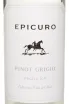 Этикетка Epicuro Pinot Grigio Puglia IGP 2024 0.75 л