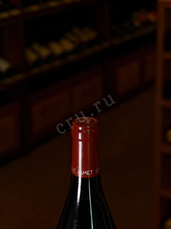 Вино Domaine Jean-Luc Jamet Schistes Pinot Noir Collines Rhodaniennes 2020 0.75 л