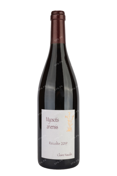 Вино Bourgogne Hautes-Cotes de Nuits Myosotis Arvensis 2019 0.75 л