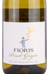 Этикетка Fioris Pinot Grigio 2020 0.75 л