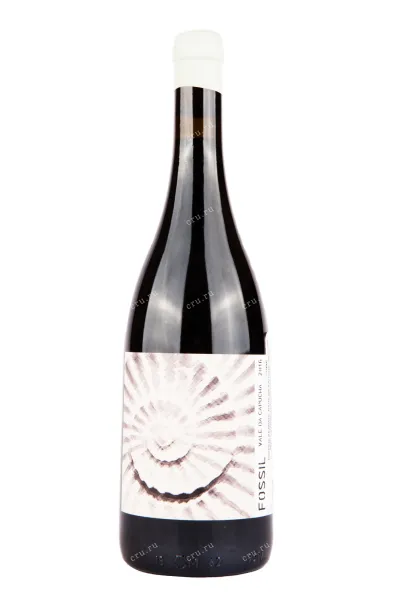 Вино Vale da Capucha Fossil 2017 0.75 л