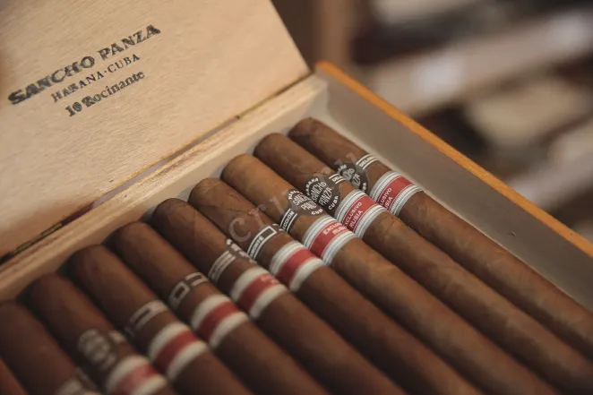 В магазине Крю Профи Sancho Panza Rocinante *10