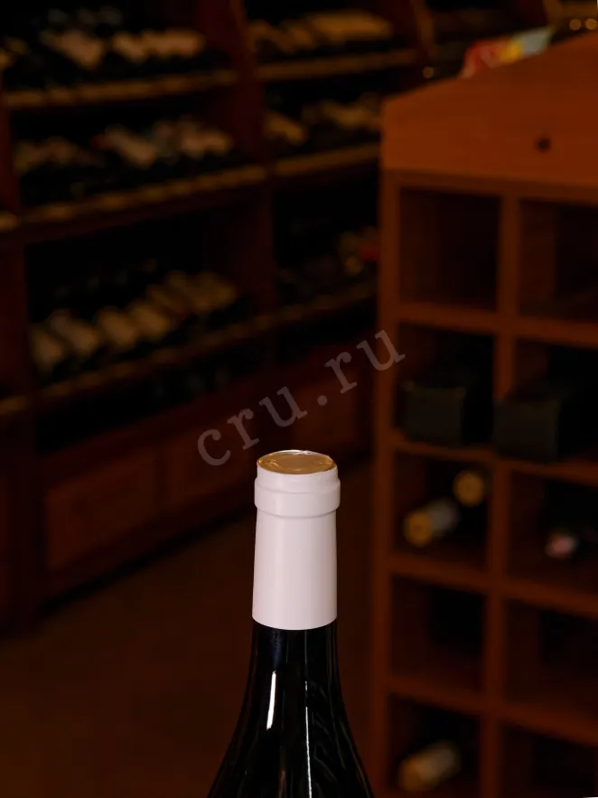 Пробка Oleg Repin Listva Syrah 2023 0.75 л