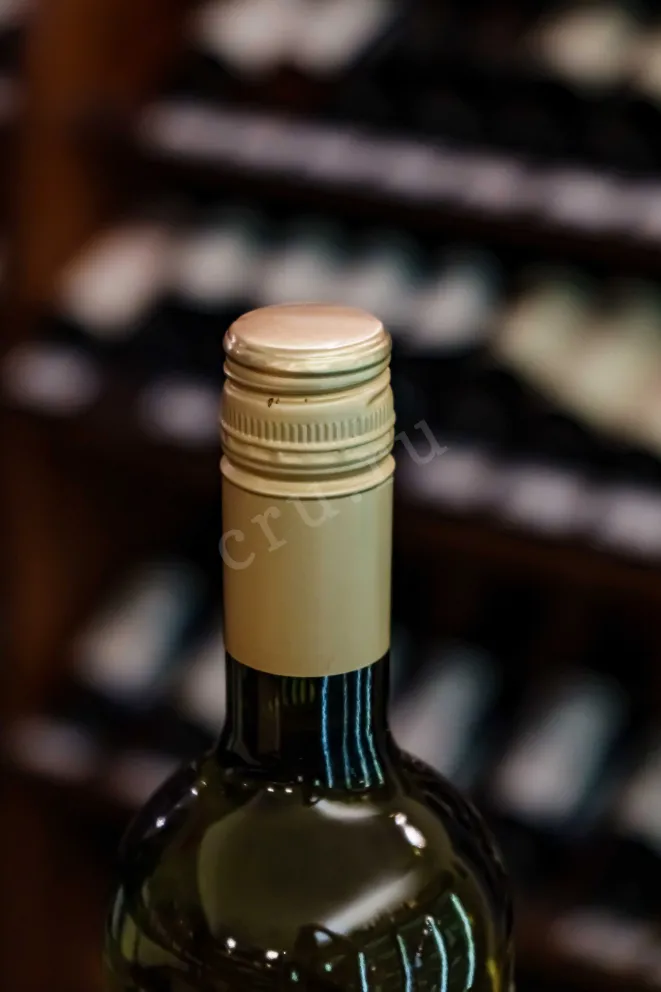 Пробка Demons & Angels Torrontes 2022 0.75 л
