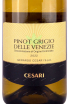Этикетка Cesari Fiorile Pinot Grigio 2022 0.75 л