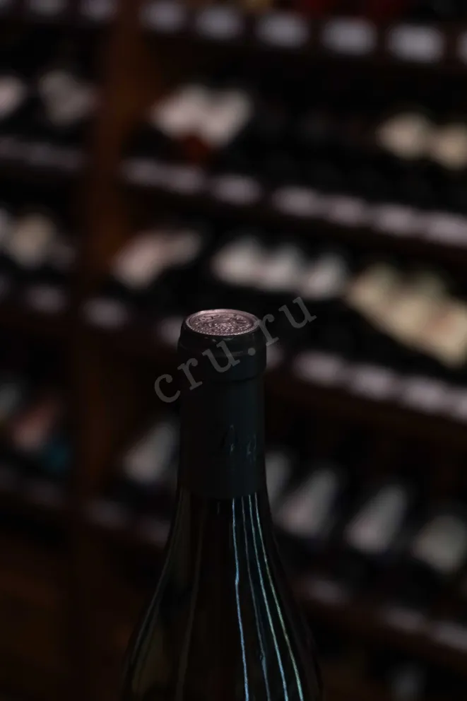 Пробка Domaine Denis Race Chablis 1er Cru Montmains 2022 0.75 л