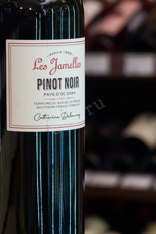 В магазине Крю Профи Les Jamelles Pinot Noir 2024 0.75 л