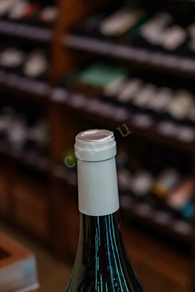 Пробка Oleg Repin Listva Syrah 2023 0.75 л