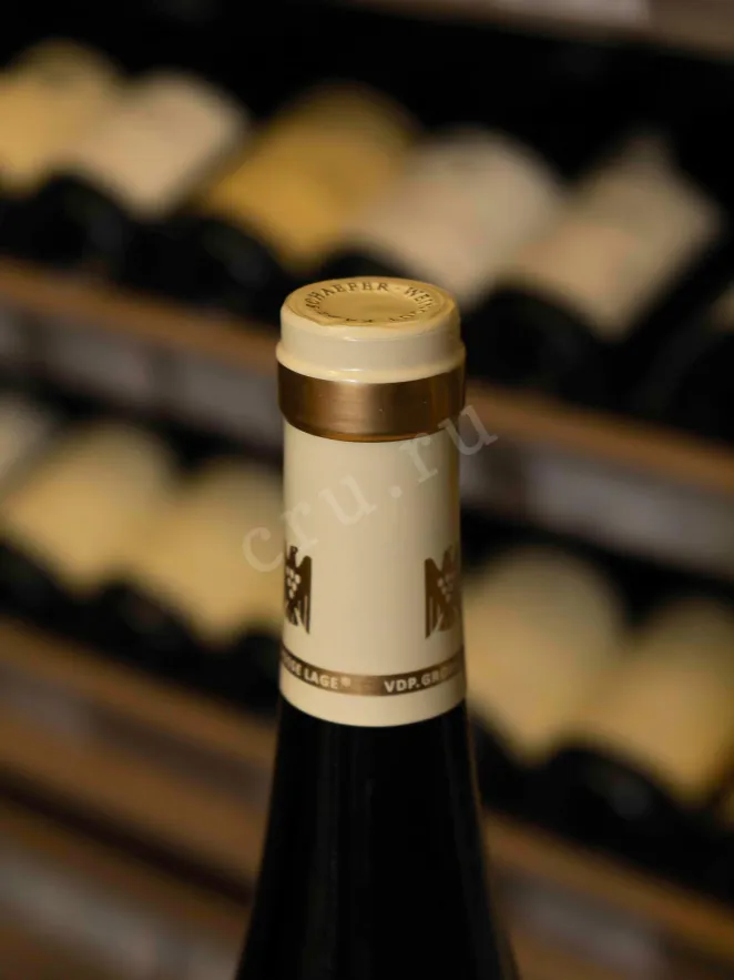 Пробка Karl Schaefer Ungsteiner Herrenberg Riesling GG 2018 0.75 л
