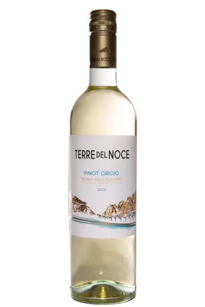 Вино Mezzacorona Terre del Noce Pinot Grigio 2023 0.75 л