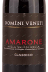 Этикетка Domini Veneti Amarone della Valpolicella Classico 0.75 л