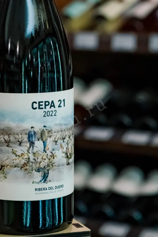 В магазине Крю Профи Cepa 21 Ribera Del Duero 2022 0.75 л