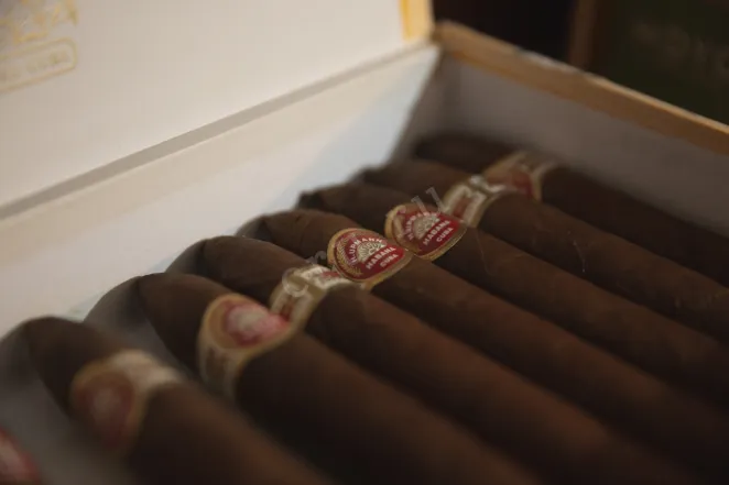 В магазине Крю Профи H.Upmann №2 *25