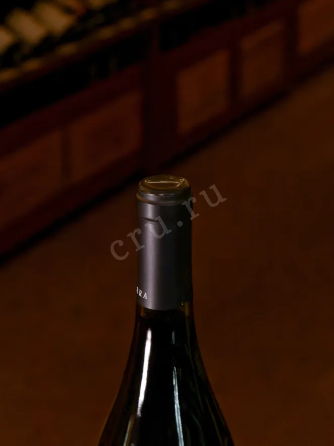 Пробка Pedro Parra Pencopolitano 2020 0.75 л