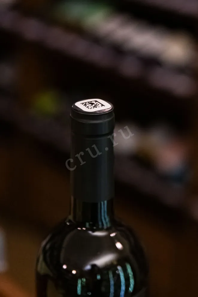 Пробка Chateau de Talu Miroir de Talu Cabernet Sauvignon Saperavi 2022 0.75 л