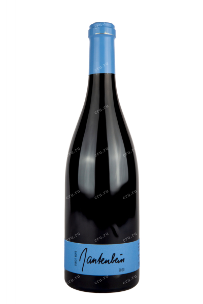 Вино Gantenbein Pinot Noir 2019 0.75 л
