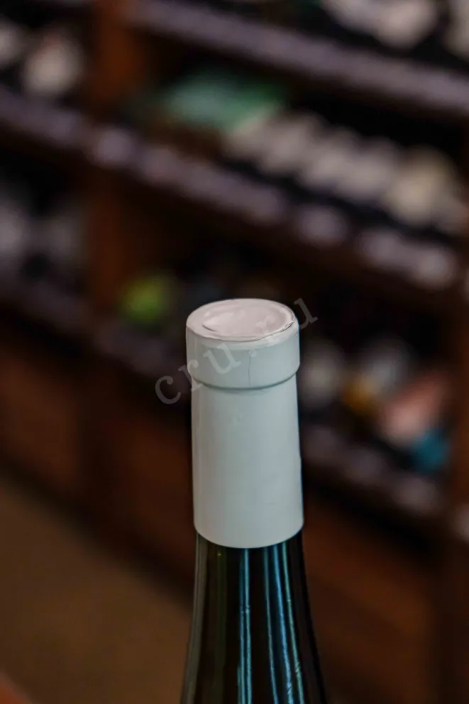 Пробка Oleg Repin Riesling 2024 0.75 л