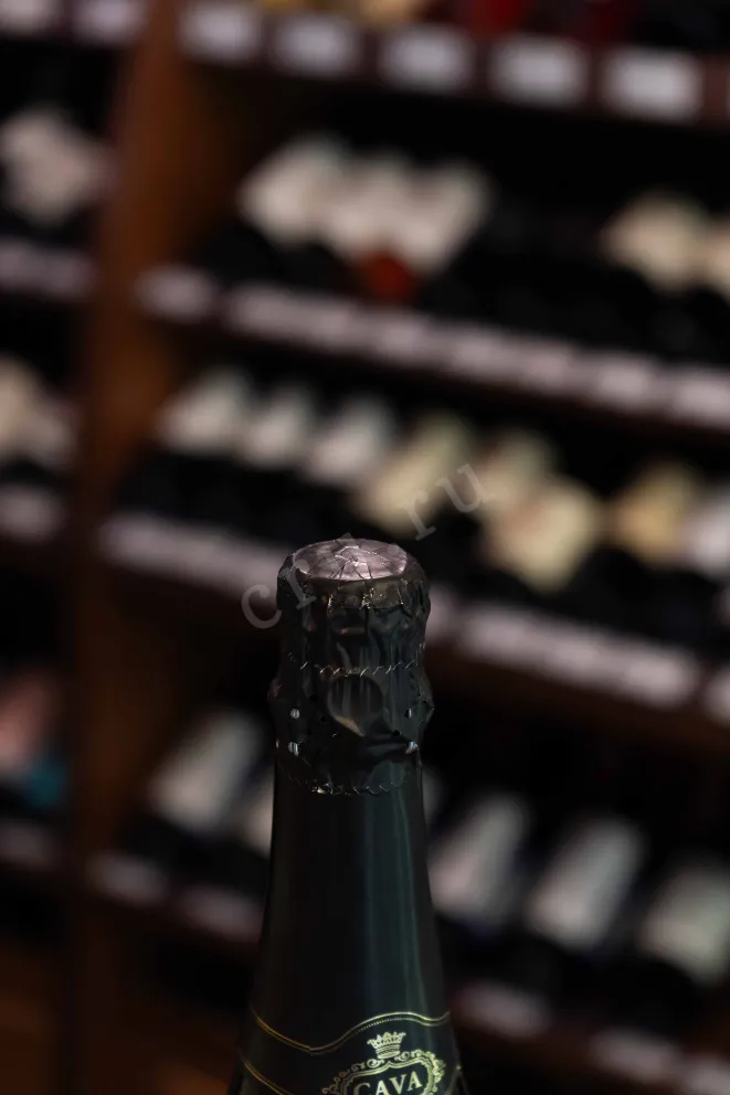 Пробка Cava Vinart Vintage 2022 0.75 л