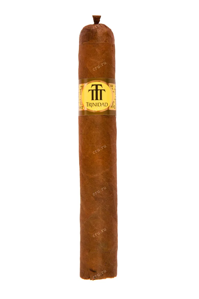 Сигары Trinidad Reyes *24