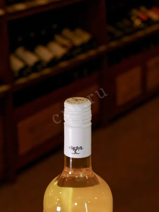 Пробка J.Bouchon Reserva Sauvignon Blanc 2023 0.75 л