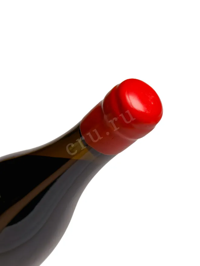 Пробка Vinodelnya Pliogoriya Saperavi 2023 0.75 л