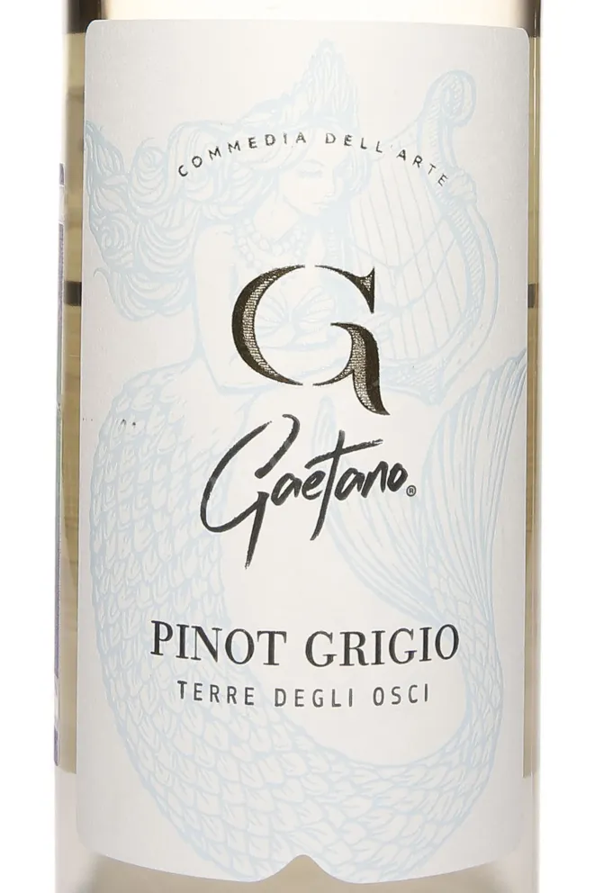 Этикетка Gaetano Pinot Grigio Terre Degli Osci 2024 0.75 л