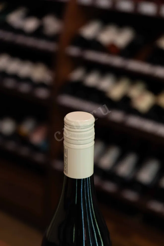 Пробка Wild Beast Elepard Cabernet Sauvignon 2022 0.75 л
