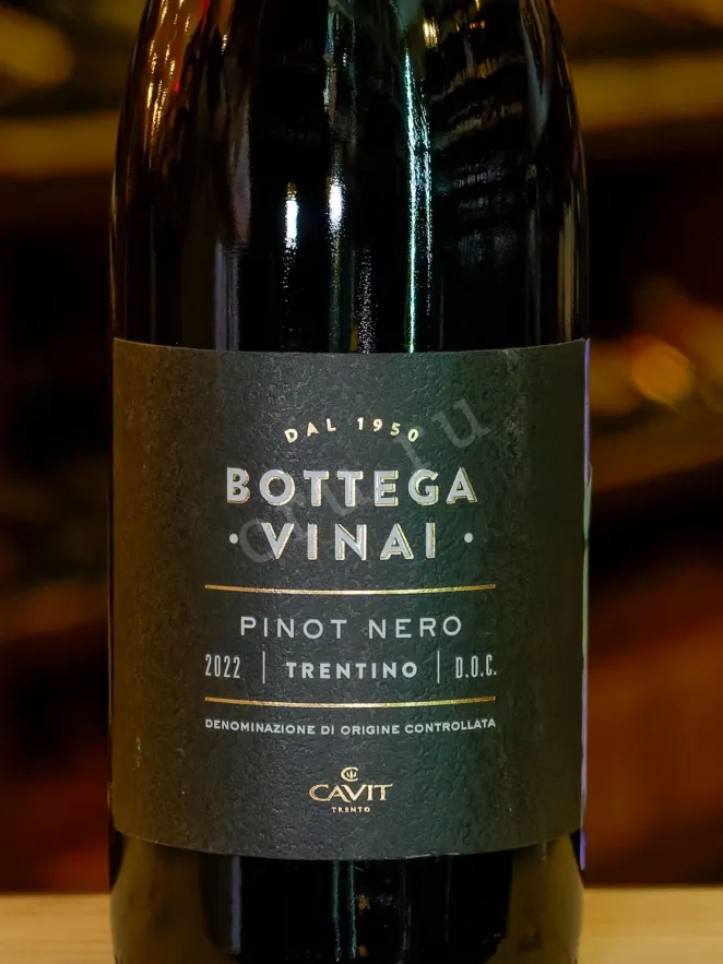 В магазине Крю Профи Bottega Vinai Pinot Nero 2022 0.75 л