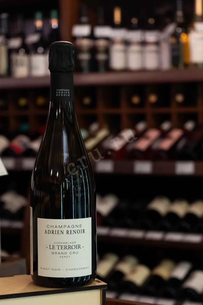 В магазине Крю Профи Adrien Renoir Le Terroir Grand Cru 2022 0.75 л
