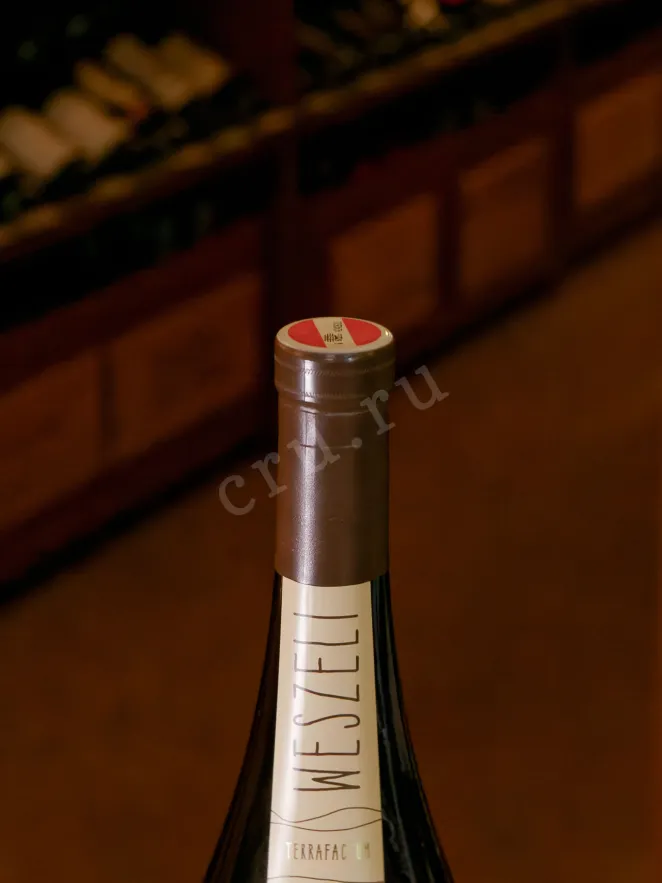 Пробка Purus Kamptal DAC Gruner Veltliner 2019 0.75 л