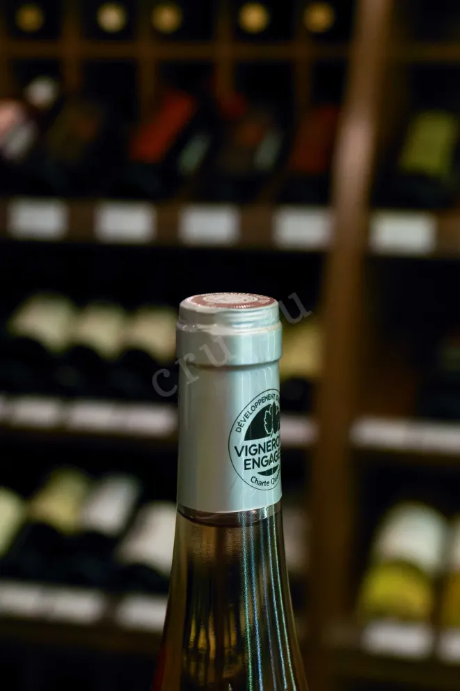 Пробка Chateau de Mauny Cabernet D Anjou 2024 0.75 л