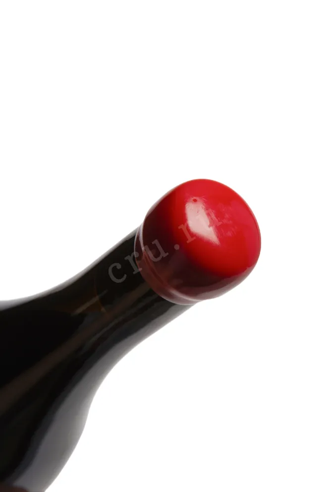 Пробка Вино Пино Нуар Клер Нуммулит органический Павел Швец 2021г 13% 0,75л красное сухое Крым Россия